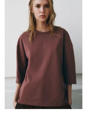 Zara Boxy Crewneck Tee in Mauve